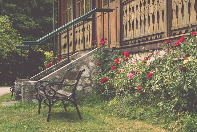 与假动作 与假动作