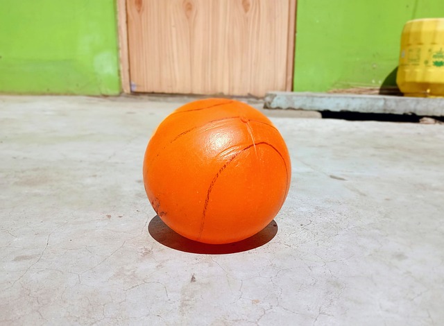 的競爭力 的競爭力