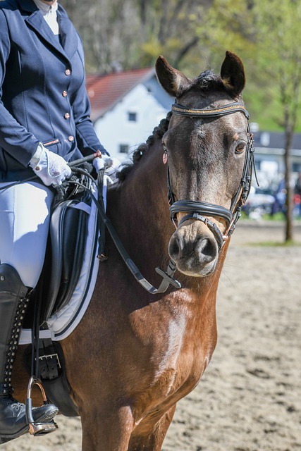 帶給後輩無 帶給後輩無