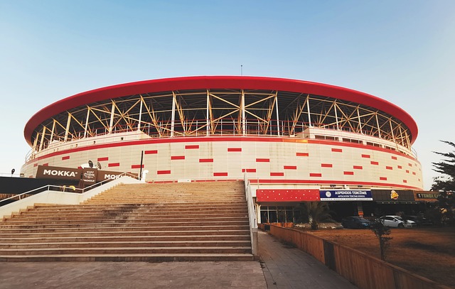 就能够赢得 就能够赢得