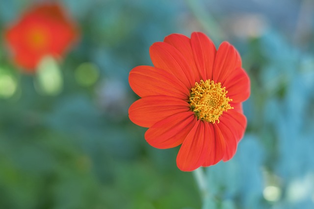 保持竞争力 保持竞争力